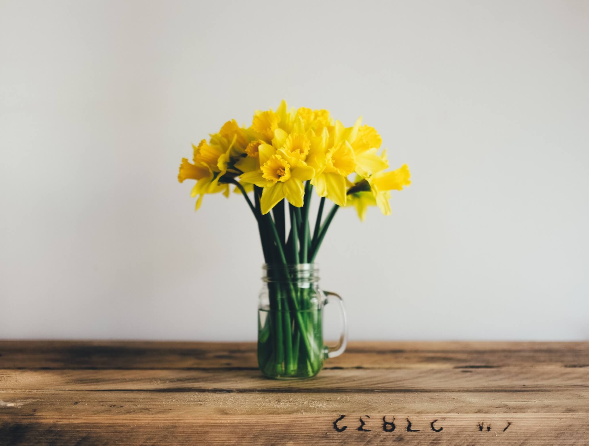 Daffodils Happy St Davids Day
