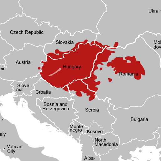 simplified map of eastern europe showing the countries where Hungarian is spoken. the countries are shown in gray with borders in white. hungarian speaking countries are shown in dark red colour.